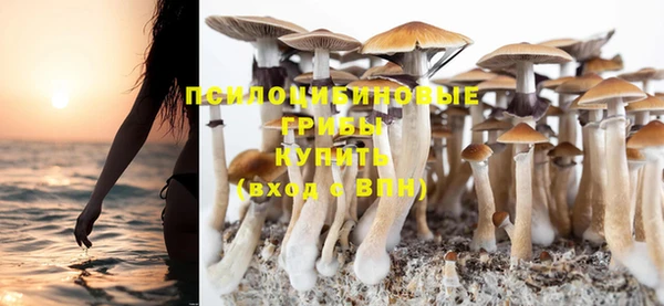 PSILOCYBIN Белокуриха